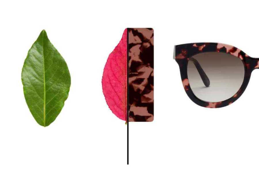 bio-acetate material shown as three leaves developing into a cellulose acetate chip and finally a pair of pala sunglasses
