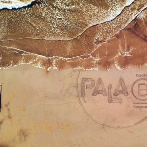 Pala becomes a B Corp