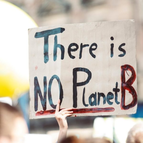 protester holding up a no planet b sign