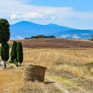 Italian countryside scene