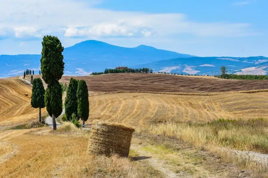 Italian countryside scene