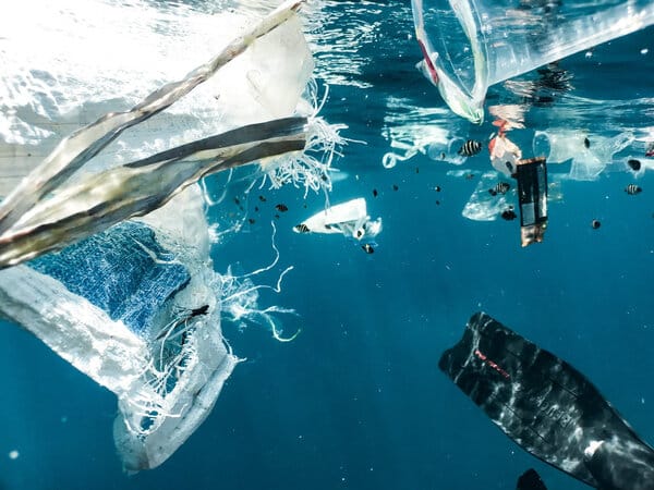 Plastic bottle in on sale the ocean